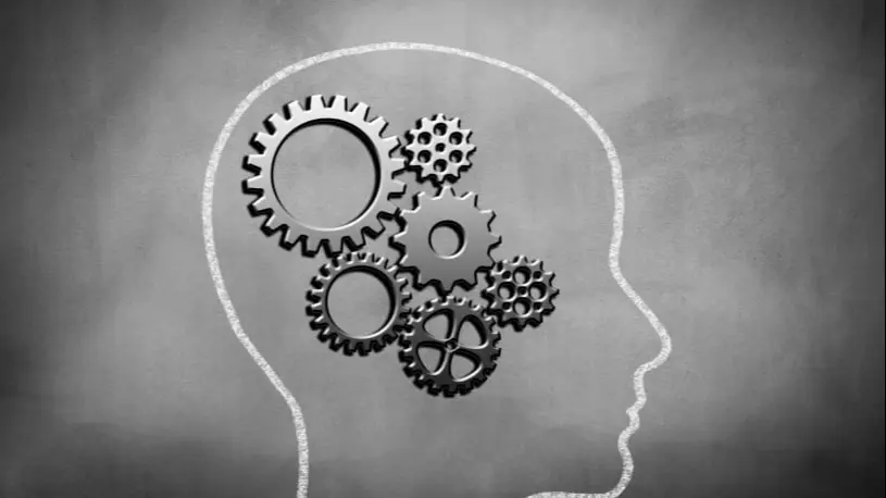 The Science Behind Herpafend